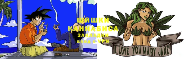 крисы Бородино