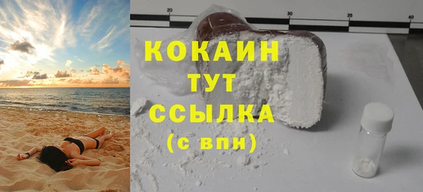 крисы Бородино