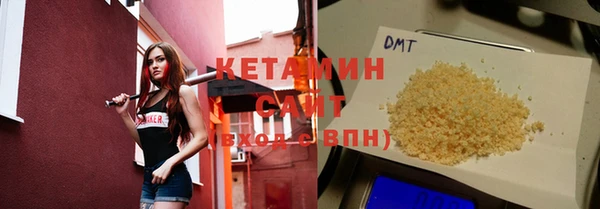 крисы Бородино