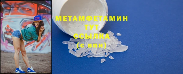 крисы Бородино