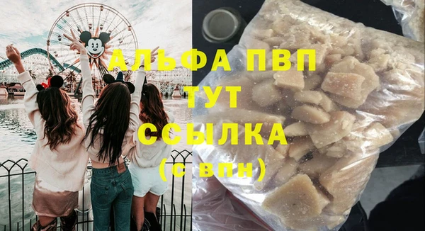 крисы Бородино