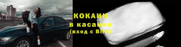 крисы Бородино