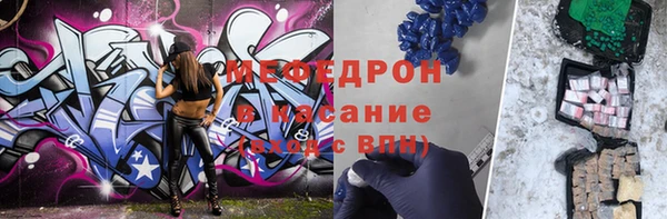 крисы Бородино