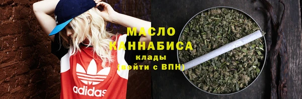 дживик Няндома