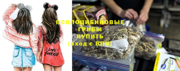 дживик Бугульма