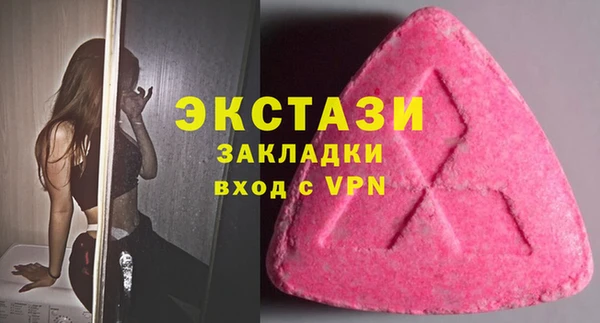 крисы Бородино