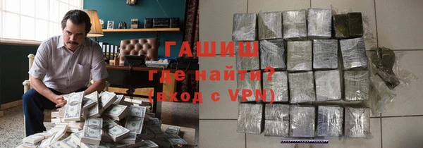 крисы Бородино